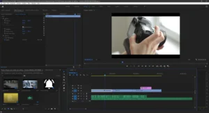 Adobe Premiere Pro 01