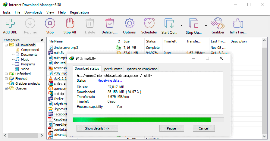 Internet Download Manager (IDM) 02