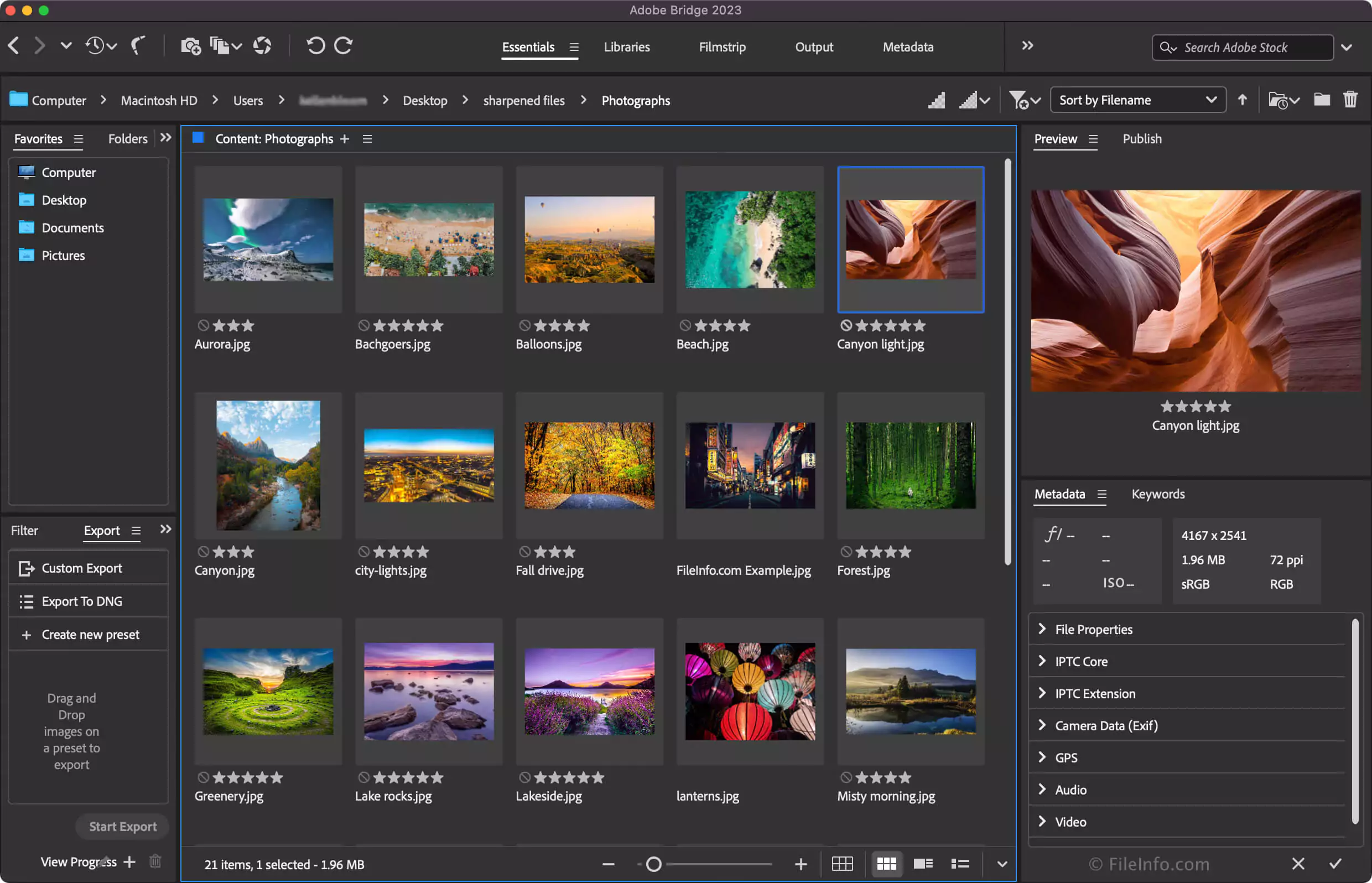 Adobe Bridge 01